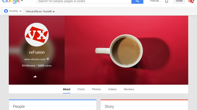 Photo of Google+ for Business?