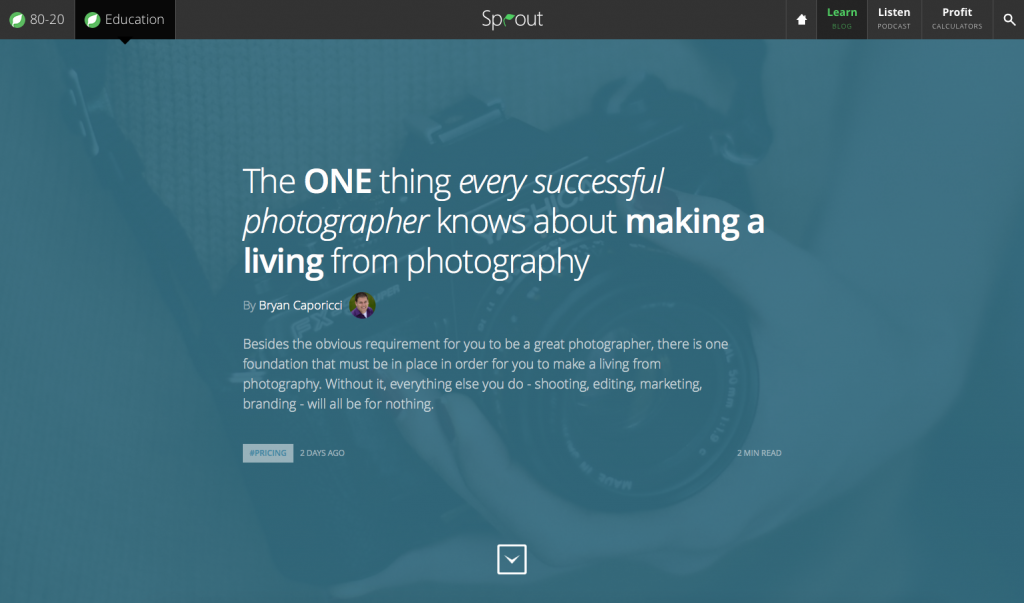 Sprouting Photographer WordPress Article Design